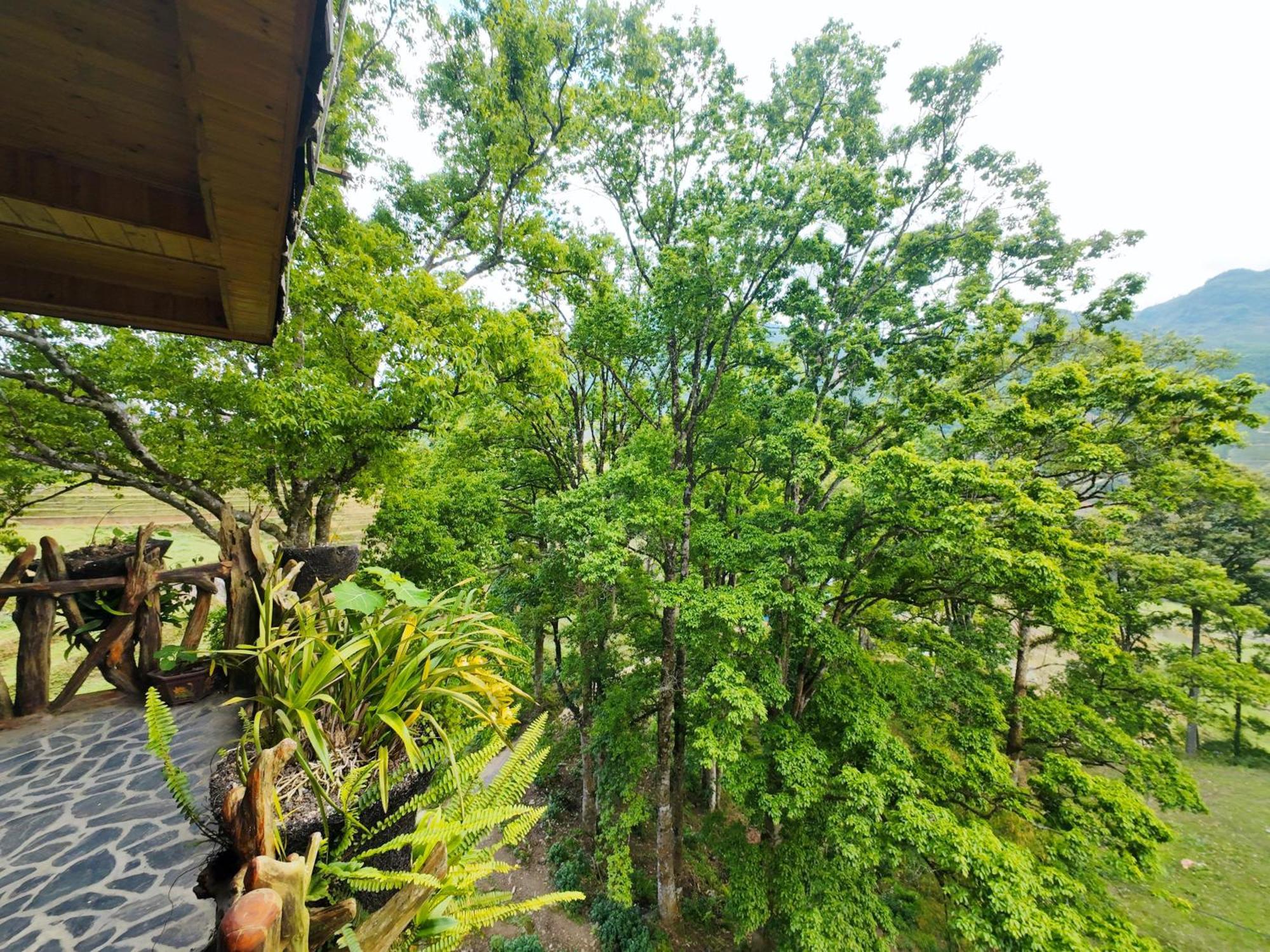 Mt House Sa Pa Hotel Exterior foto